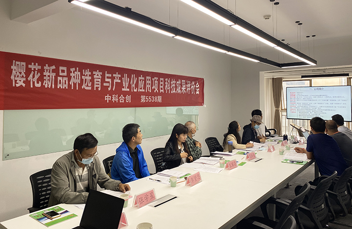 樱花新品种选育与产业化应用 anli.jpg